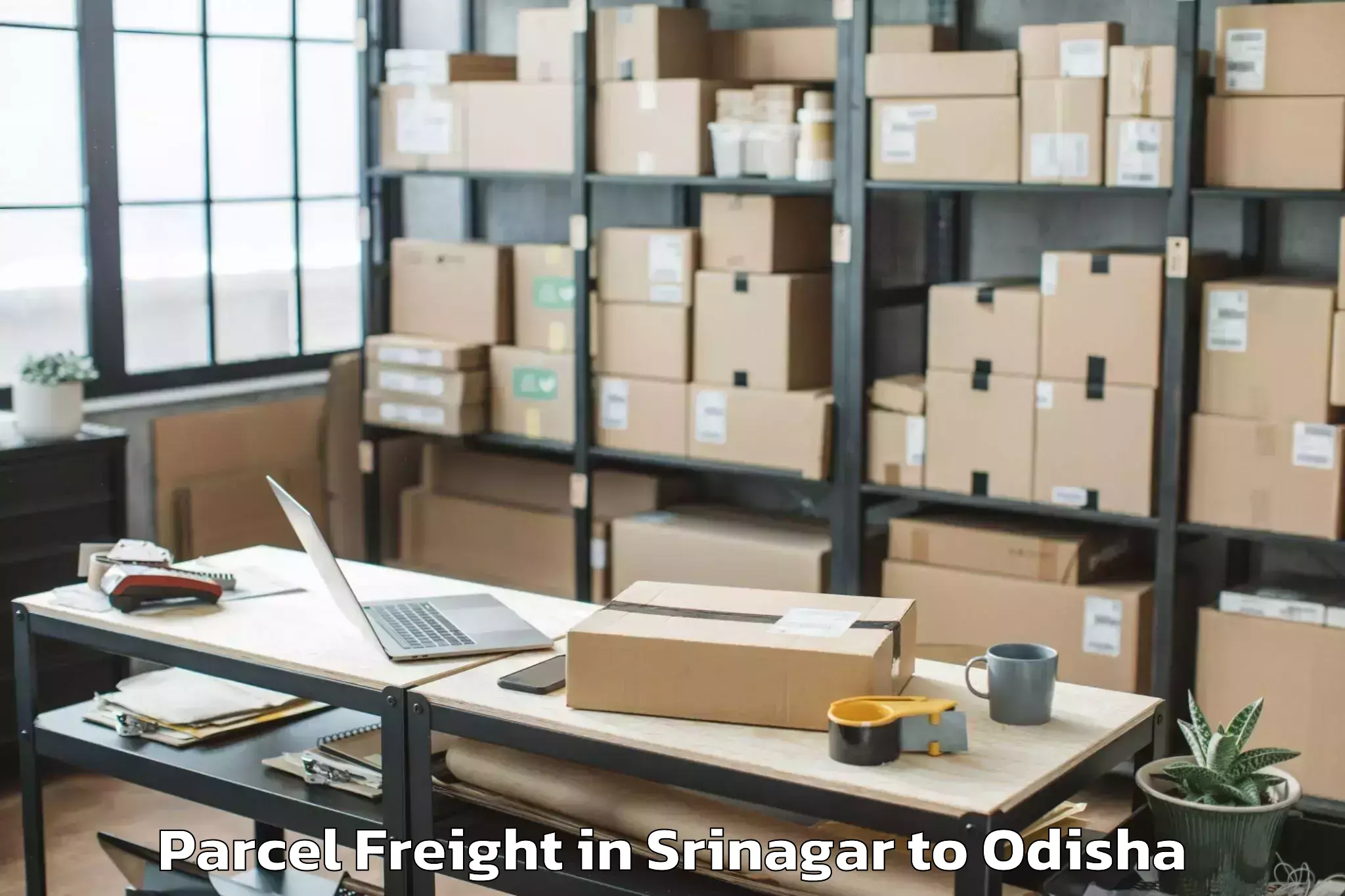 Book Your Srinagar to Raj Berhampur Parcel Freight Today